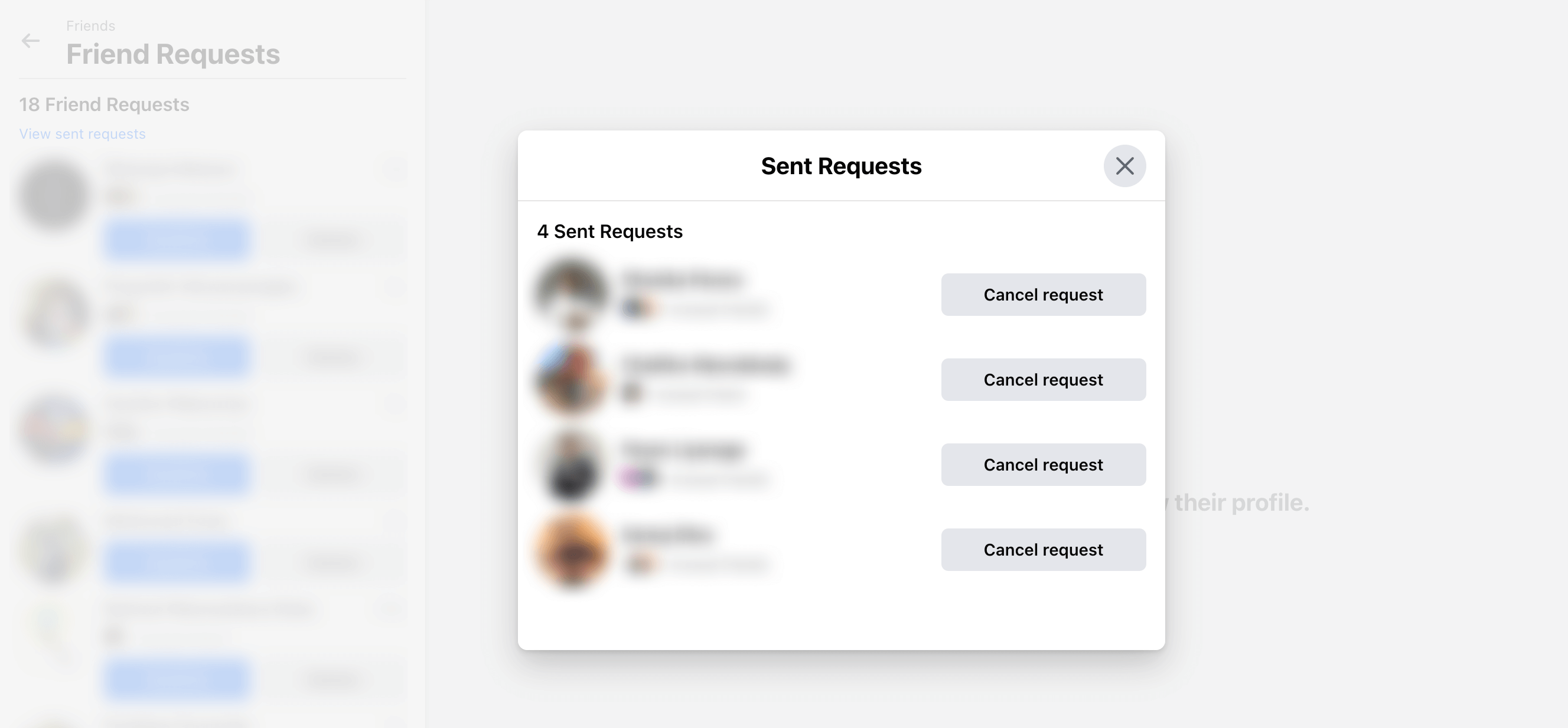 See All The Sent Friends Requests