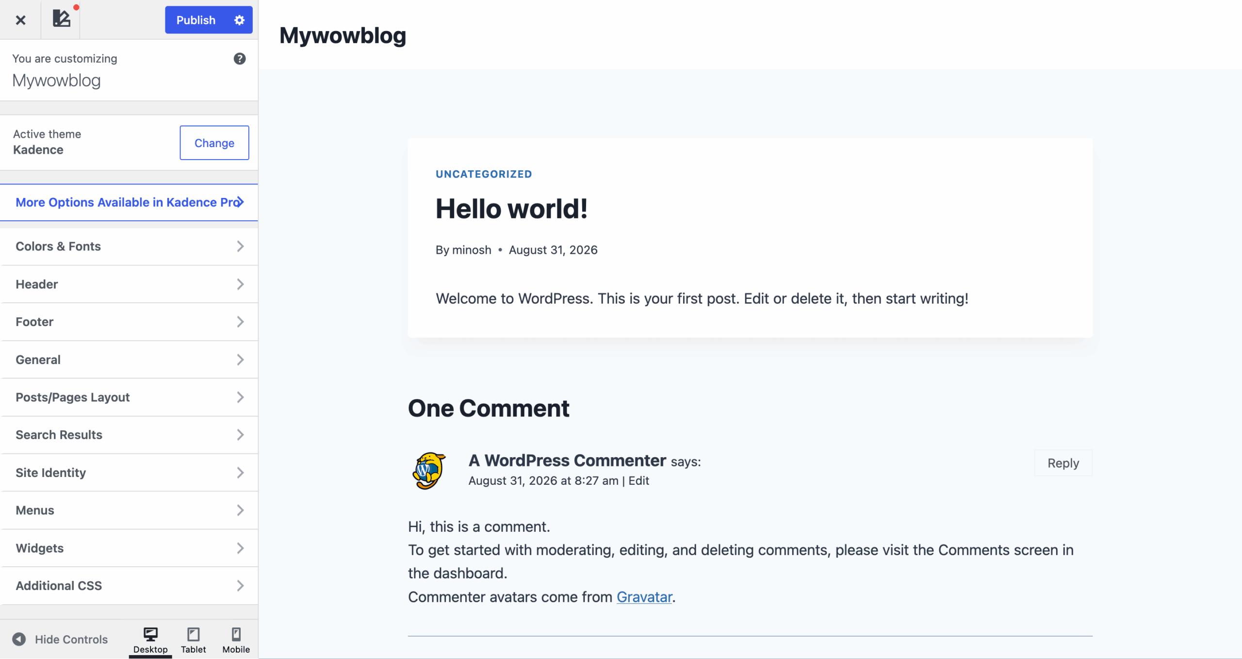 Hostinger WordPress Setup Step - Theme Customize