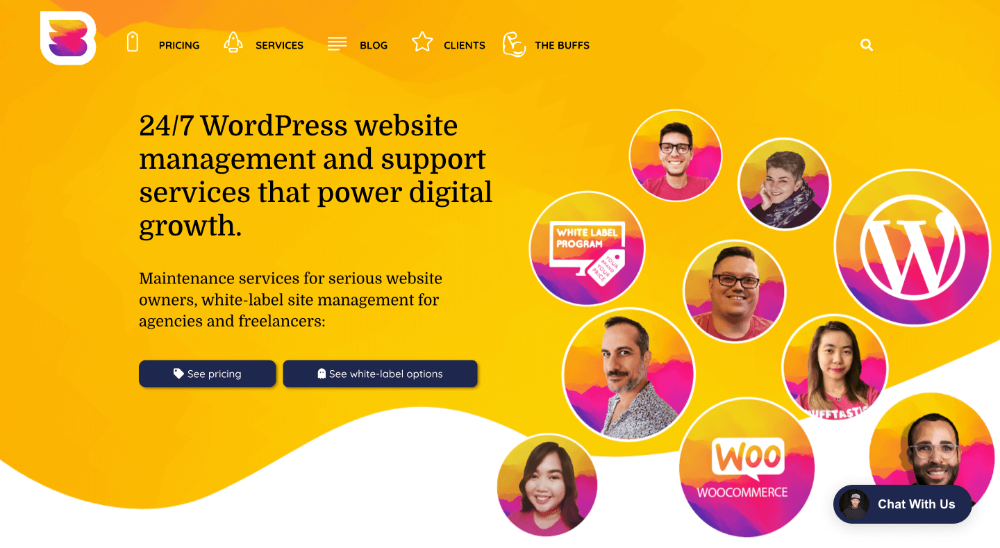 WP Buffs WordPress website management and support services