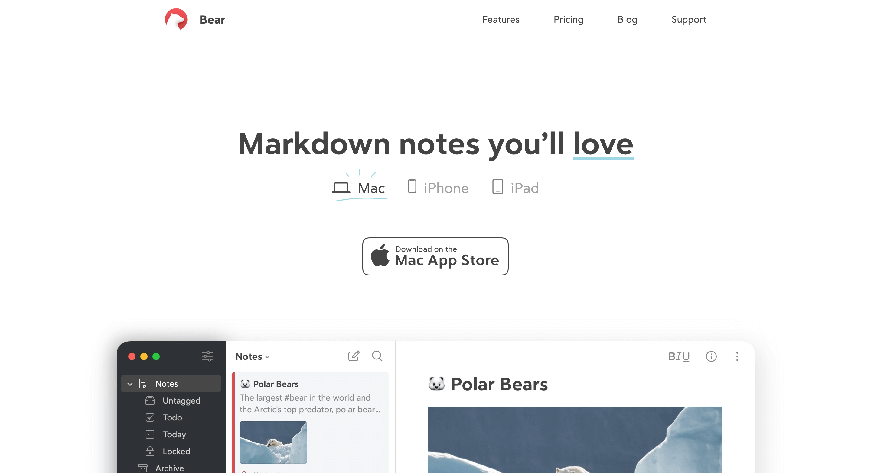Bear App for Note taking