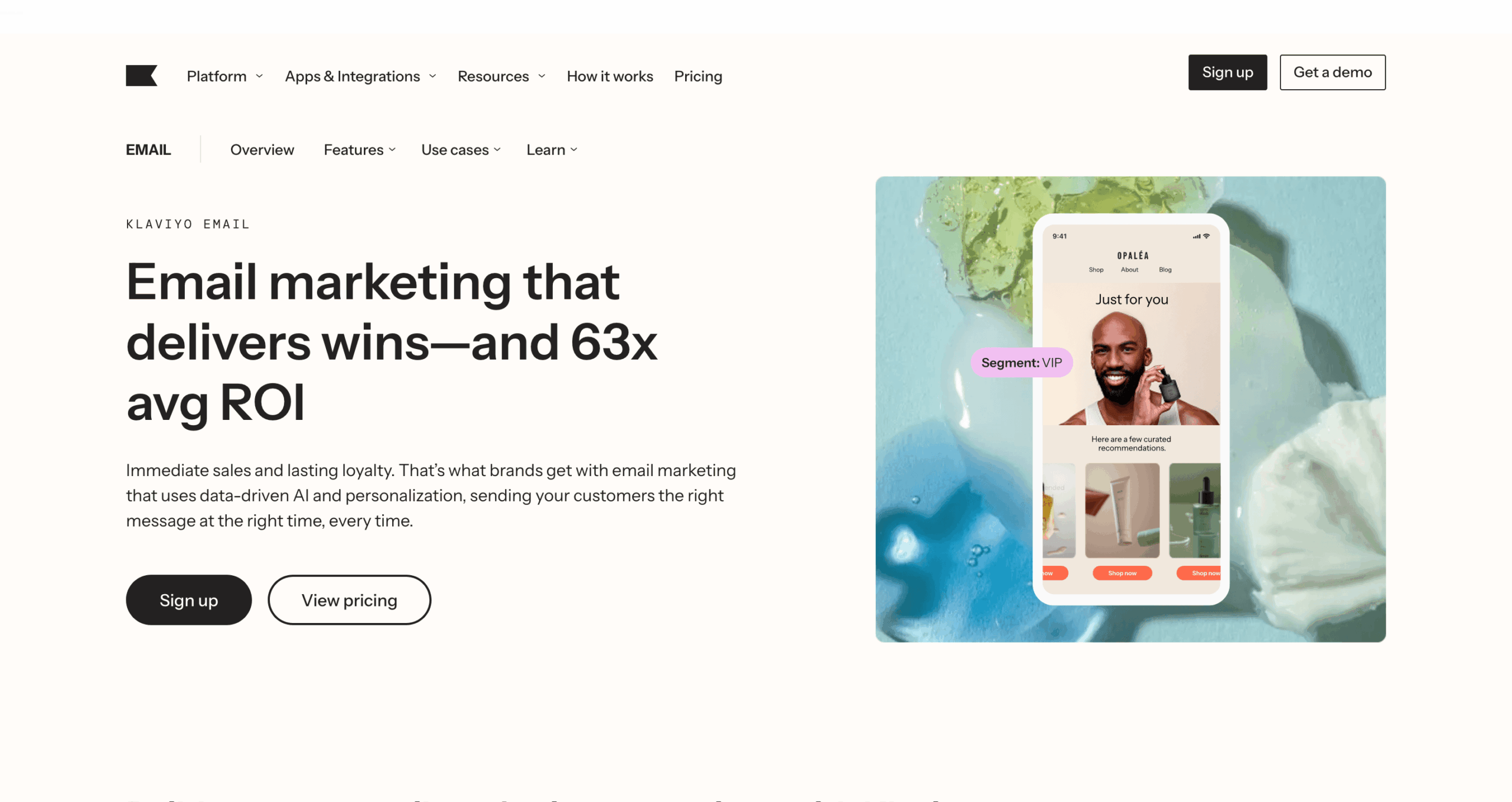 Klaviyo Website